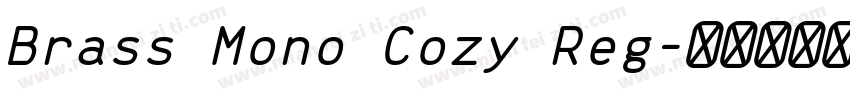Brass Mono Cozy Reg字体转换